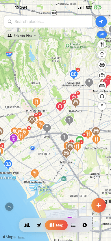 Map with friend pins